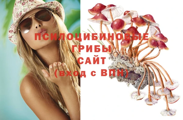 Альфа ПВП Покров