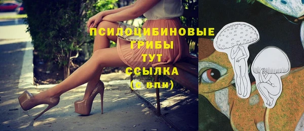 Альфа ПВП Покров